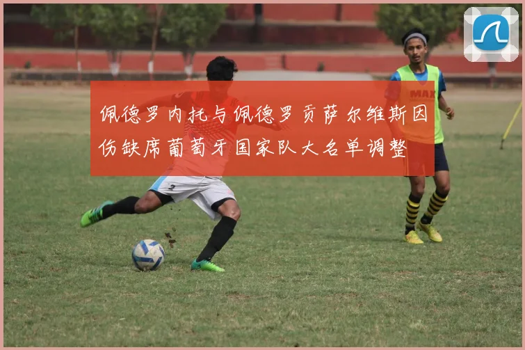 佩德罗内托与佩德罗贡萨尔维斯因伤缺席葡萄牙国家队大名单调整