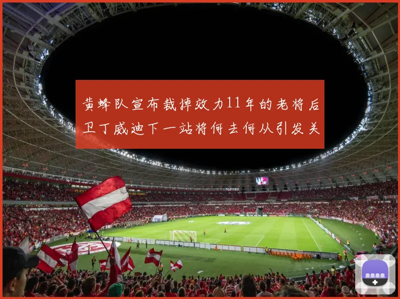 黄蜂队宣布裁掉效力11年的老将后卫丁威迪下一站将何去何从引发关注