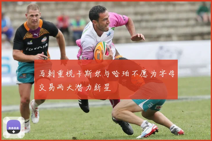 马刺重视卡斯尔与哈珀不愿为字母交易两大潜力新星